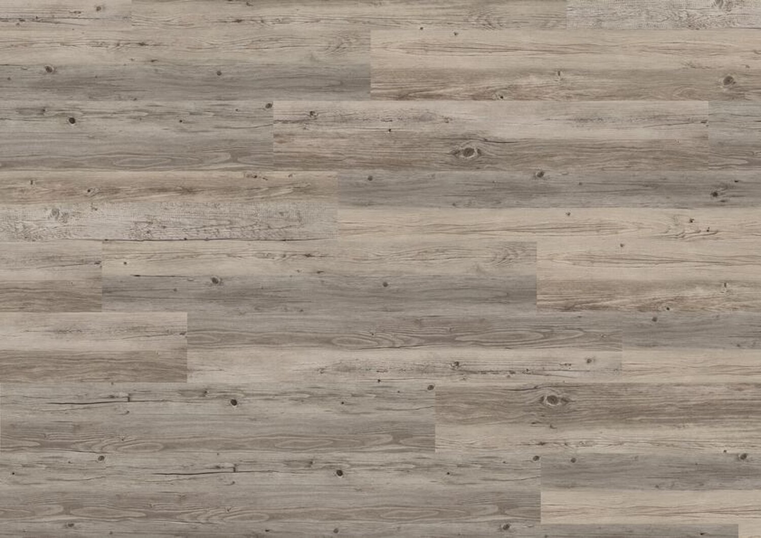 MOON ISLAND C70 MEGACLIC